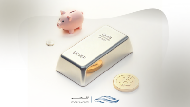 سرمایه گذاری با پول کم
